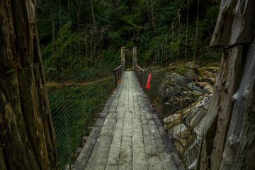 Bridge Frorest Trees Artvin Menchuna Waterfall