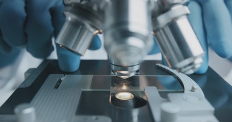 Wall Mural - close up shot of the scientist studies examining of test sample under the microscope in laboratory.