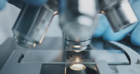 Wall Mural - close up shot of the scientist studies examining of test sample under the microscope in laboratory.