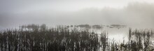 Panoramic View Of An Eerie Lake With Tall Grass And Mysterious Forest In The Background