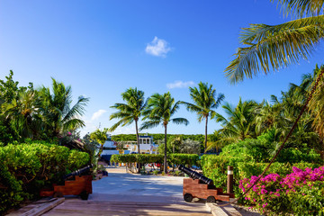 Wall Mural - The view of beach on Half Moon Cay island at Bahamas.