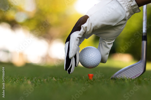 Plakaty Golf  pileczka-golfowa-na-polu-zielonej-trawy-sportowy-klub-golfowy-trzymaj-w-reku-pilke-golfowa-z-tee-na-polach-golfowych