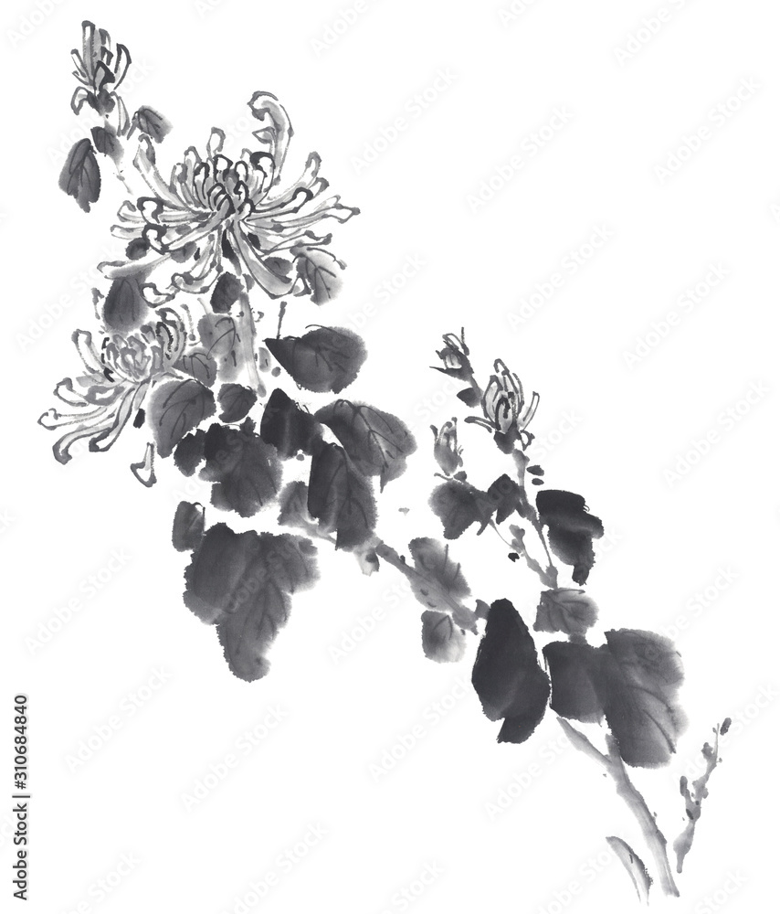 菊 イラスト 水墨調 の Stock イラスト | Adobe Stock