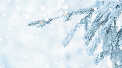 Wall Mural - Christmas tree outdoor with snow, lights bokeh around, and snow falling, Christmas atmosphere.