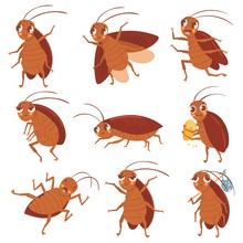 Cartoon Cockroach Mascot. Angry Cockroaches, Insect Pests And Bugs Control Characters Vector Illustration Set. Funny Brown Beetles Collection. Different Adorable Parasites, Wildlife Stickers Pack