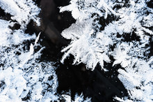 White Hoarfrost On The Surface Of Ice On The Lake. Macro Image. Beautiful Winter Nature Background