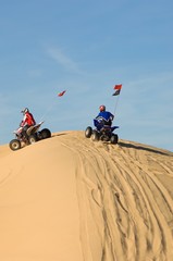 Wall Mural - Men Riding Quad Bikes On Sand Dune In Desert