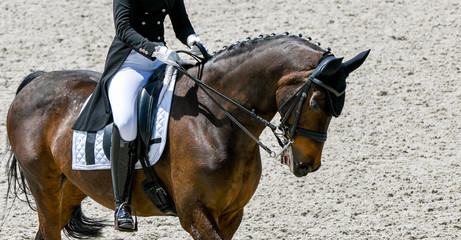 Dressage horse and rider in black uniform. Horizontal banner for website header design. Equestrian sport competition, copy space.