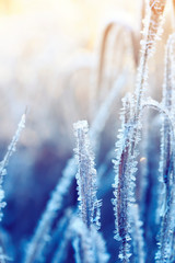  natural background with grass covered shiny transparent crystals of cold blue frost like beads on a Sunny winter morning
