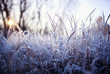 Leinwandbild Motiv natural background with field with dry grass covered shiny transparent crystals of cold frost and snow cover in winter Sunny morning