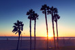 Palm tree silhouette at sunset with vintage effect, Huntington Beach, CA