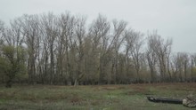 The Edge Of The Forest With A Small, Abandoned Boat - Sliding From Right To Left