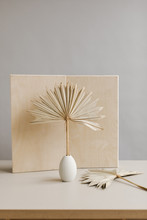 Modern Dried Palm Leaves Against Plywood Background