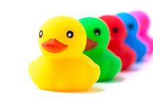 Colorful Ducks In A Row Isolated Over White. Rubber Ducks In A Row On A White Background