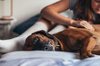 © Gillian Vann/Stocksy - dog lying on bed, while woman checks his skin