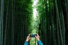 A Man Shooting With Smart Phone In Japanese Bamboo In Garden Of Kyoto Temple