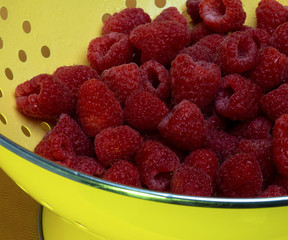 raspberries