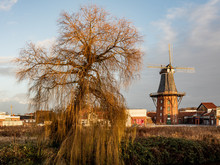 Norden, Germany. 8 December 2019. Old Windmill In The Town Of Norden With A Tree In The Foreground.