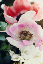 Wet Flowers Inside Bouquet