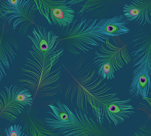 Fashionable Template For Design Of Clothes. Tails Of Peacocks . Embroidery Peacock Feathers Seamless Pattern