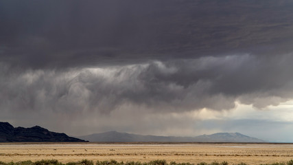 Wall Mural - Storm dumping rain on the dry desert in Utah over the Bonneville Salt Flats near Fish Springs.