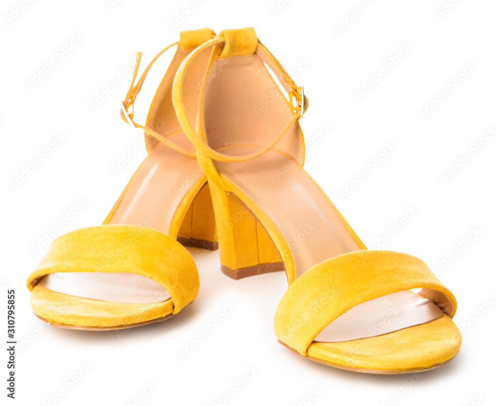 Stylish female shoes on white background