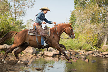 Western Creek Crossing