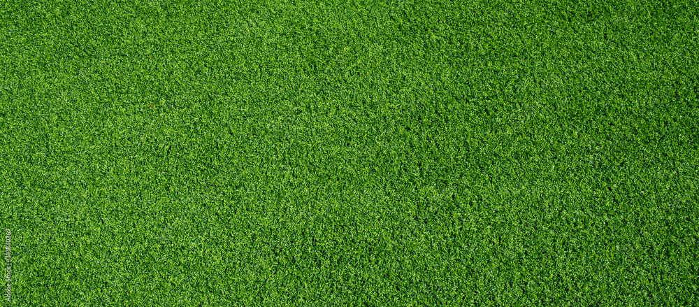 green grass background, football field - obrazy, fototapety, plakaty 