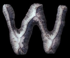 Capital letter W made of forged metal isolated on black background. 3d