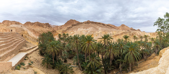 Beautiful green mountain oasis in Tunisia. Chebika oasis in Tozeur Governorate. Horizontal panoramic color photography. Aerial top view.