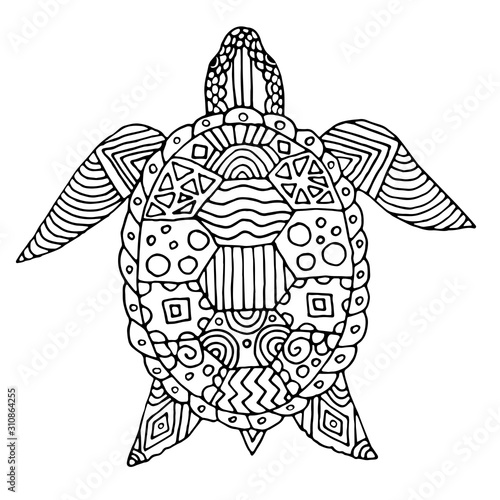 hand drawn turtle isolated on white background good for