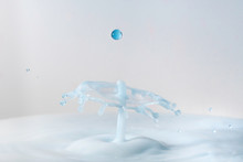 A Macro Photo Of Two Drops Of Blue Food Coloring Colliding In A Pool Of Thick Creamy Milk Captured Using A Flash To Freeze The Motion