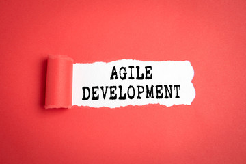 Wall Mural - agile development. business, skills, leader and success concept