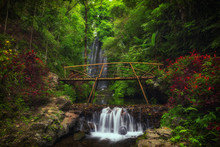 View Of Labuhan Kebo Waterfall Located In Munduk, Bali