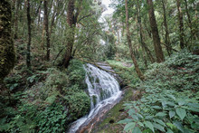 Waterfall Along Kew Mae Pan Nature Trail