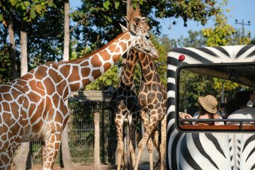 Shuttle bus in the zoo