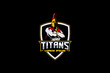 titan or spartan warrior emblem logo template