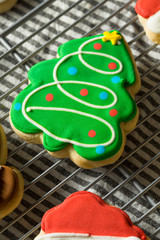 Wall Mural - Homemade Decorated Christmas Sugar Cookies