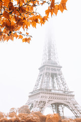  Eiffel Tower in the fog in autumn - romantic view - vertical format