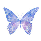 Fototapeta Motyle - watercolor blue butterfly
