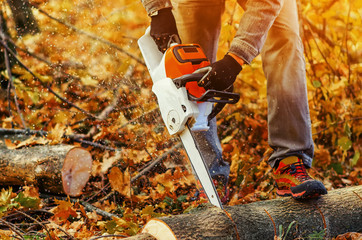 Sticker - Close up of a lumberjack cutting old wood with a chainsaw