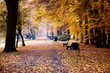 Park jesienią alejka ławki drzewa liście złota polska jesień