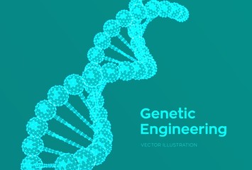 Wall Mural - DNA sequence. Wireframe DNA molecules structure mesh. DNA code editable template. Science and Technology concept. Vector illustration.