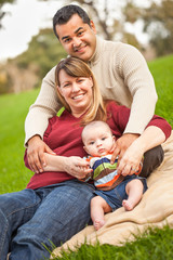 Wall Mural - Happy Mixed Race Family Posing for A Portrait in the Park