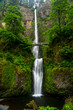 MAY 27 2019, EAST OF PORTLAND, OREGON  USA - Columbia River Gorge National Scenic Area shows Multnomah Water Fall