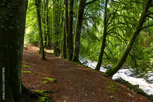 Walking in Blair Atholl, Scotland Poster Mural XXL