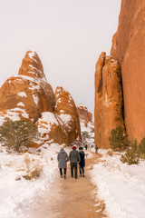 Wall Mural - Beautiful arches national park during winter