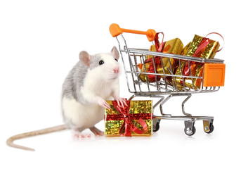 Wall Mural - Small nice rat with gift box next to shopping cart full of gifts