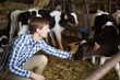 © caftor - technician worker with milky cows in cowhouse outdoors