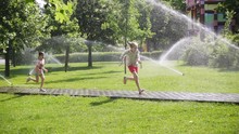Girls Playing With The Dog At The Park Lawn With Pouring Sprinklers